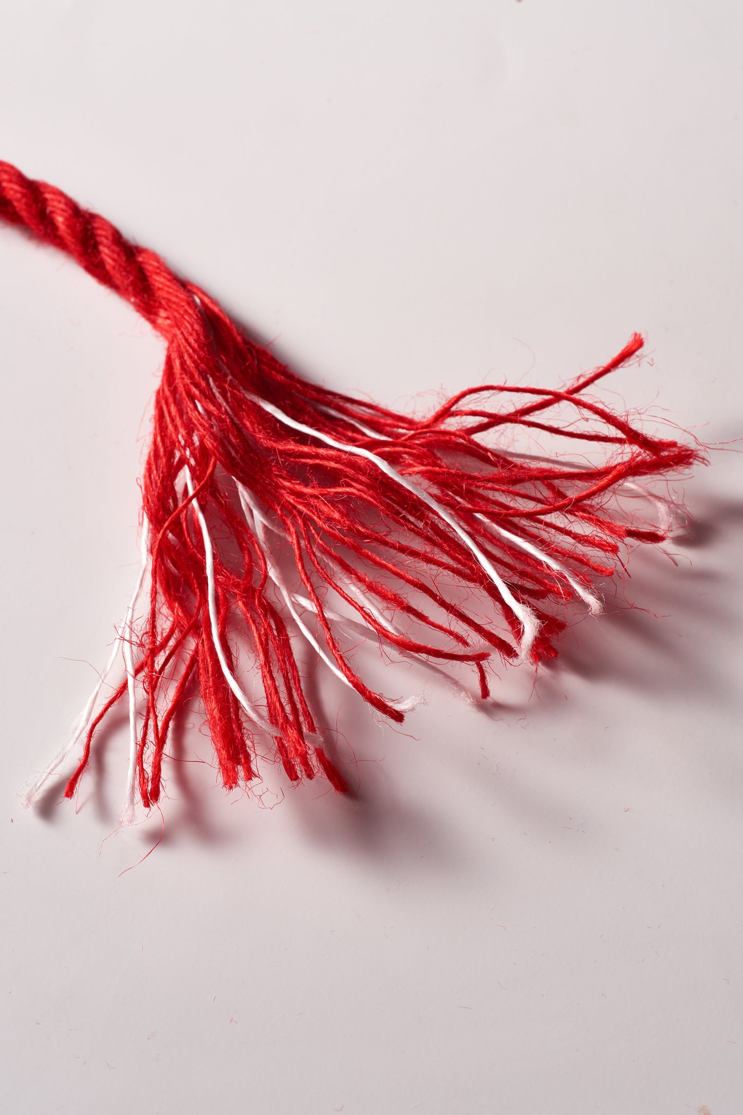 Shibari Jute Rope (Red Flame Color)